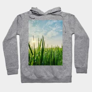 Little Grass Hoodie